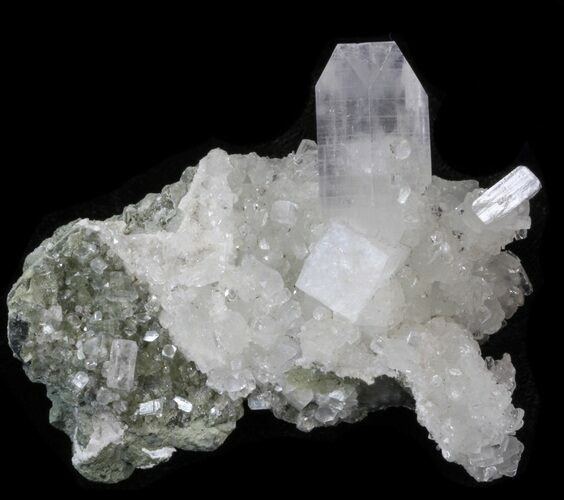 Apophyllite Crystals on Prehnite - India #39917